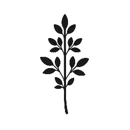 tante toet's geneeskrachtige kruidentuin